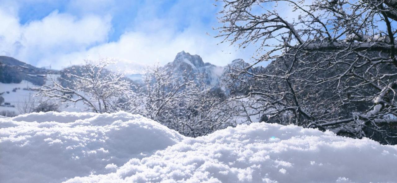 Sonnenresidenz Kastelruth Daire Dış mekan fotoğraf