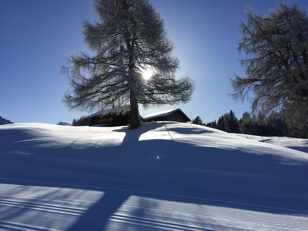 Sonnenresidenz Kastelruth Daire Dış mekan fotoğraf